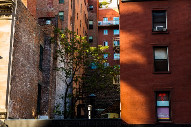 New York 0515 Blog-11