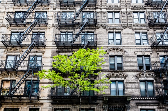 New York 0515 Blog-4