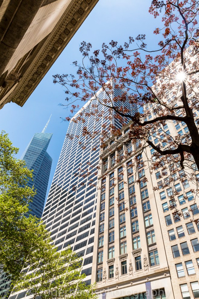 New York 0515 Blog-5